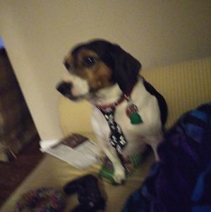 Meet your Posher, Clarence